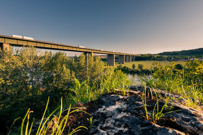 Plants growing by bridge against clear sky