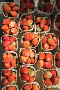 Full frame shot of fruits