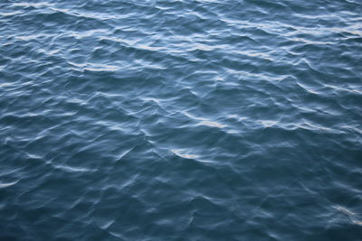 High angle view of a swimming in sea