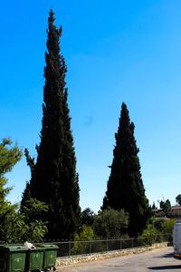 Low angle view of trees on field against clear blue sky