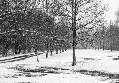 Road passing through snow covered landscape