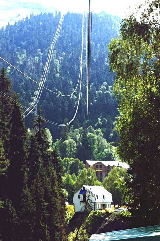 tree, mountain, built structure, building exterior, architecture, nature, transportation, house, growth, day, beauty in nature, green color, scenics, tranquility, mountain range, sky, lush foliage, power line, outdoors, overhead cable car