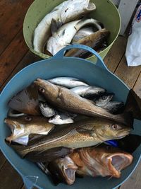 High angle view of fish for sale