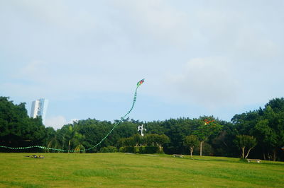 Trees on field against sky