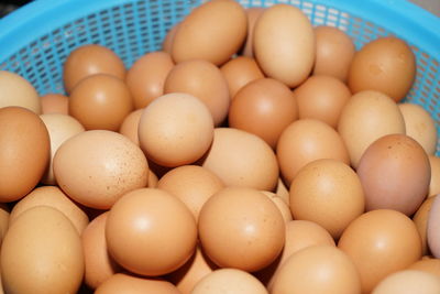 High angle view of eggs in container