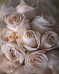 Close-up of rose bouquet