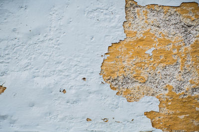 A white and orange paint background.
