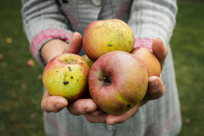 Close-up of hand holding apple