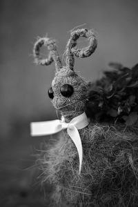 Close-up of christmas decoration