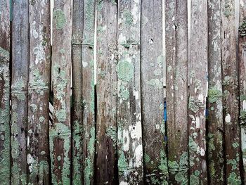 Close-up of wooden door