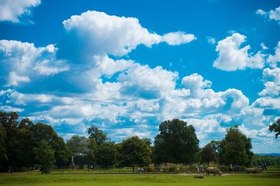 Scenic view of grassy field against cloudy sky