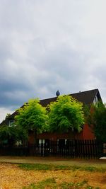 Bird on built structure against sky