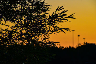 Silhouette tree against sky during sunset