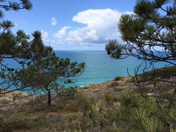 Scenic view of calm sea against clear sky