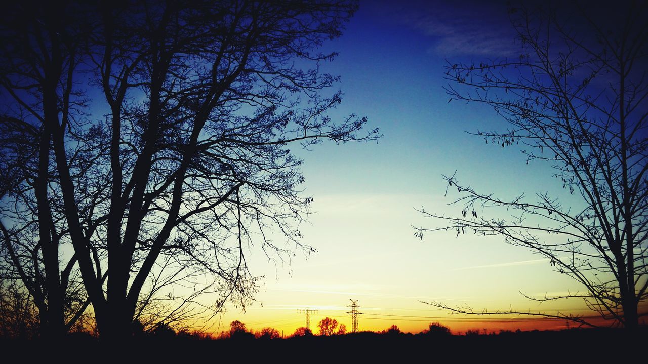 silhouette, sunset, bare tree, tree, tranquility, tranquil scene, scenics, beauty in nature, sky, nature, landscape, orange color, branch, idyllic, field, no people, outdoors, outline, non-urban scene, dark