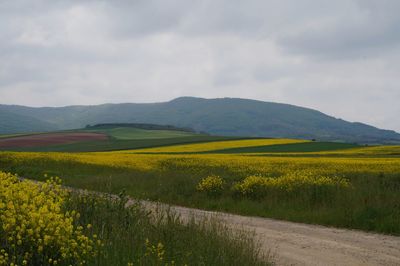 Scenic view of field against cloudy sky