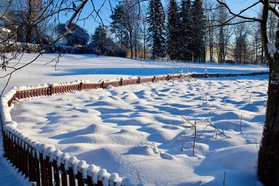 Snow covered land and trees on field during winter