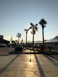 Cars on road by palm trees against sky