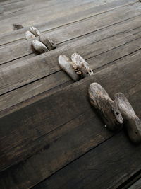 High angle view of crab on table