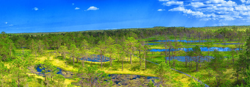 Scenic view of landscape against blue sky