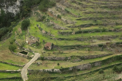 High angle view of agricultural field