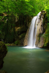 Scenic view of waterfall in forest