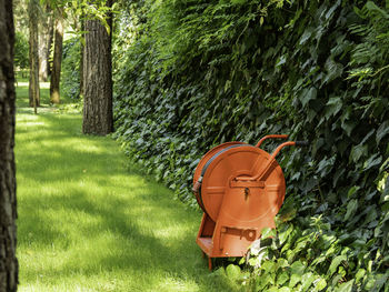Bright red fire hose in garden. flexible hose for water supply in case of fire. preventive measures.
