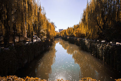 Canal amidst trees against sky