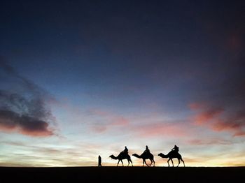 Silhouette of two horses on beach