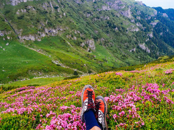 Portrait of woman photographing flowers on landscape