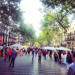 large group of people