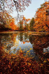 Scenic view of lake in forest during autumn