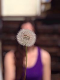 Close-up of woman holding dandelion