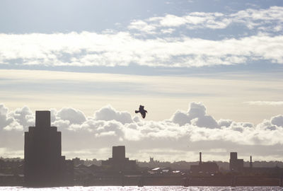 Silhouette of bird and buildings in city against sky