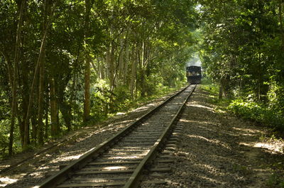 Railroad tracks amidst trees in forest