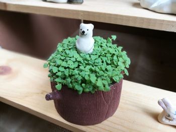 Close-up of potted plant on wooden table