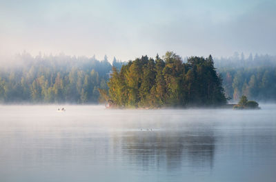 Trees by lake against sky during autumn