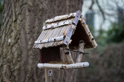 Close-up of birdhouse on tree