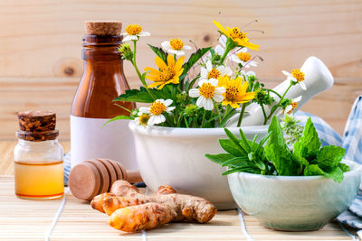 Various cooking oils in bottles by plants on table