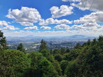 Scenic view of forest against sky