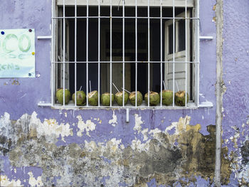 Close-up of window