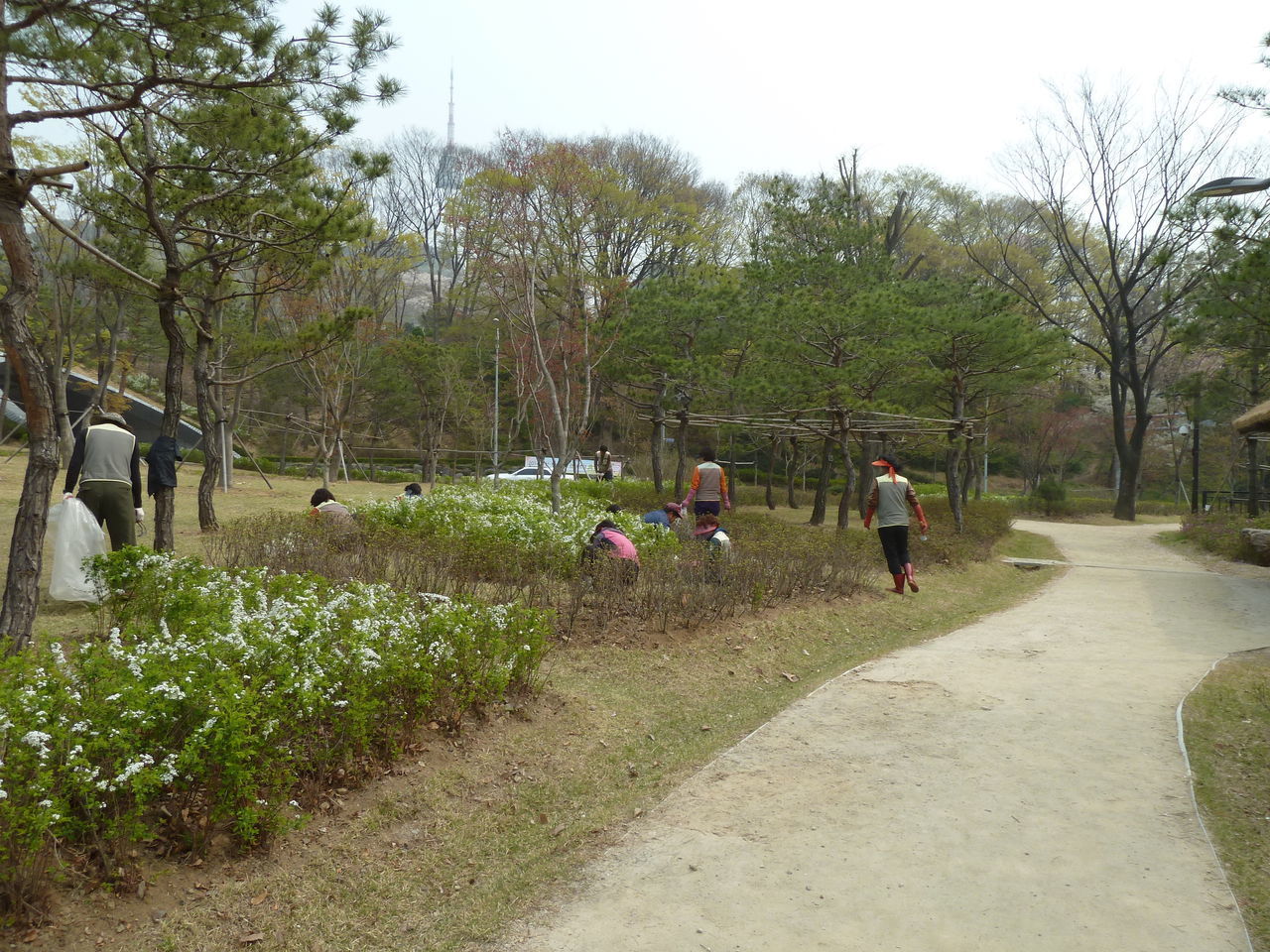 REAR VIEW OF WOMAN ON GRASS AGAINST TREES