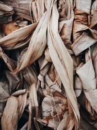 Full frame shot of dry leaves