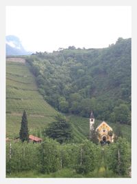 Houses on hill against sky