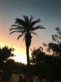 Low angle view of silhouette palm trees against sky during sunset