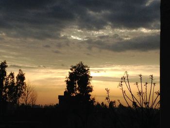 Silhouette trees against dramatic sky