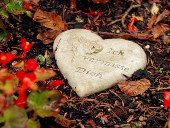 Close-up of heart shape autumn leaf