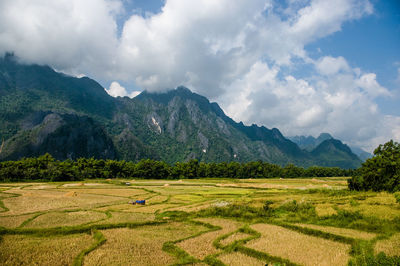 Green field and mountain against sky