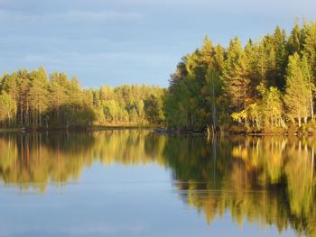 Scenic view of lake by trees against sky