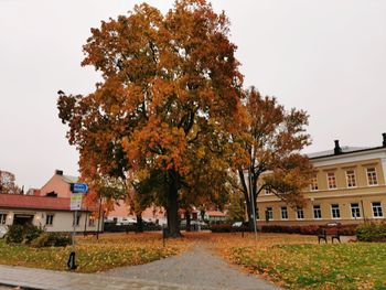 Trees and buildings against sky during autumn